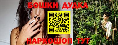 apvp Камышлов