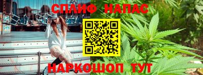 apvp Камышлов