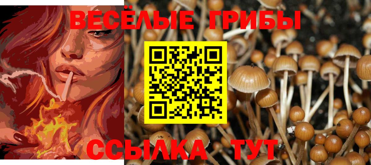 Галлюциногенные грибы MAGIC MUSHROOMS  Вход с VPN  Лиски 